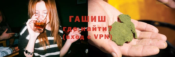прущие грибы Алзамай