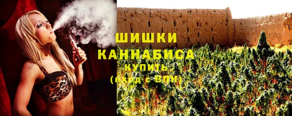 прущие грибы Алзамай