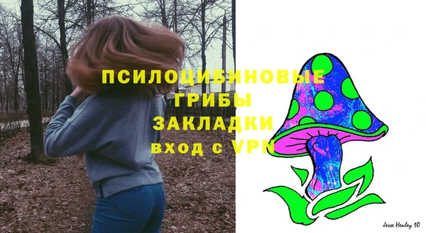 прущие крисы Алексеевка