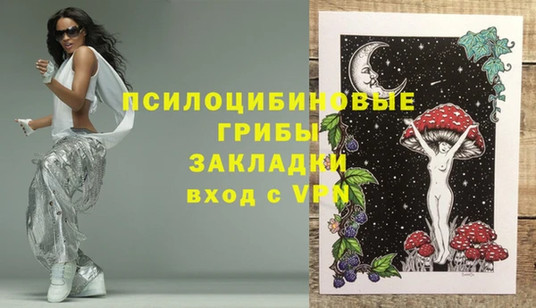 ешки Алексин