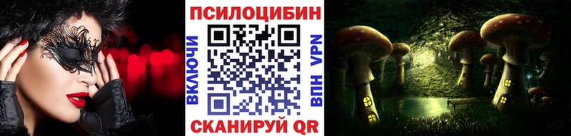 Псилоцибиновые грибы Psilocybe  Щигры 